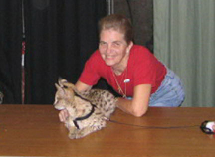 African serval, Teco