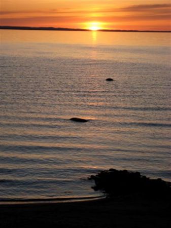 Lake Michigan sunset