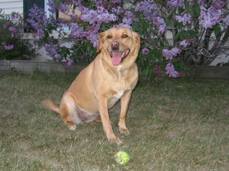 sadie posing pretty