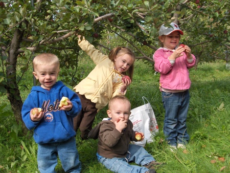 my Grandkids apple picking