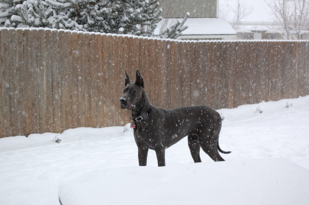 Baby's First Snow