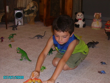 my grandson Titan Mathew and his dinosaurs