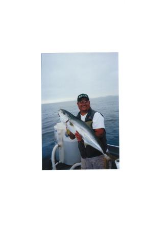 baja fishing for big yellow tail