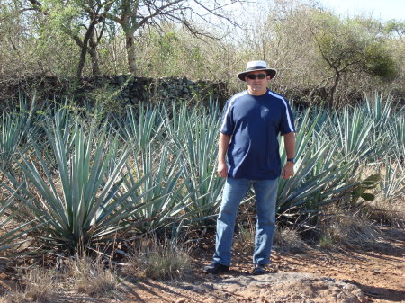 Fathers' Tequila Ranch in Jalisco Mexico.