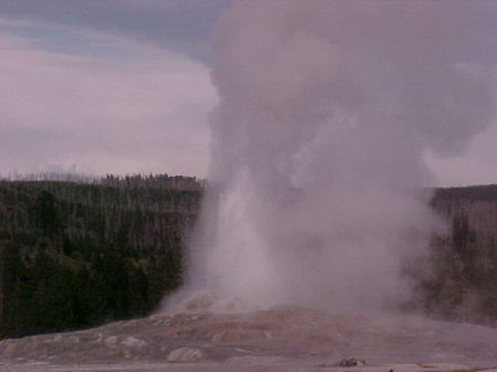 Old Faithful