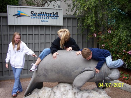 Trying to get onto this cement Manatee!