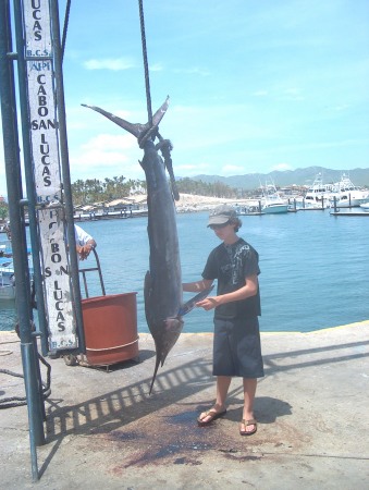 my son Jonathan  caught a sale fish in Cabo