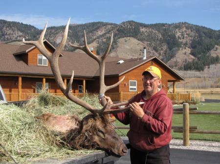2011 Bull Elk