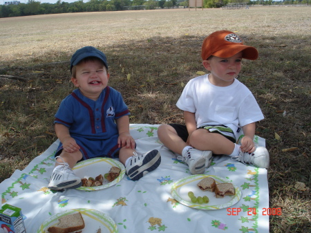 Picnic at the Park