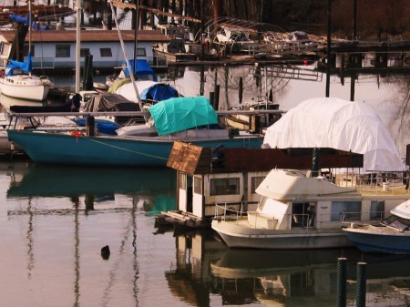 Pitt River Marina