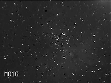 M016 - Eagle Nebula - 56 sec