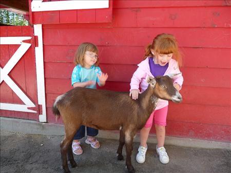 randi, sammy & goat