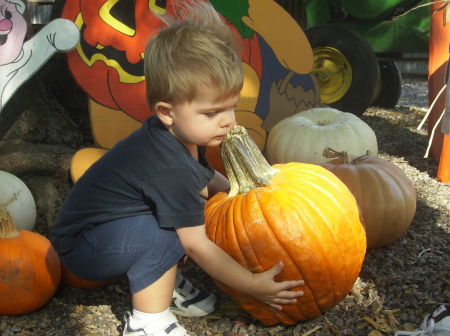 2008 picked a pumpkin