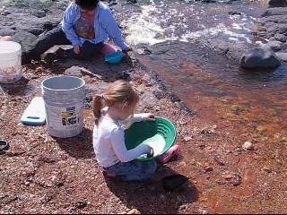 Thomas Burdick's album, Gold Prospecting