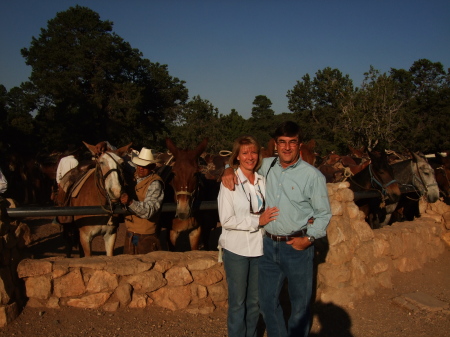 Grand Canyon Mule Ride July 2008
