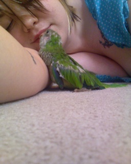 my daughter and her new bird