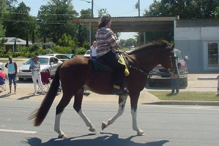 Fat woman on big beautiful horse
