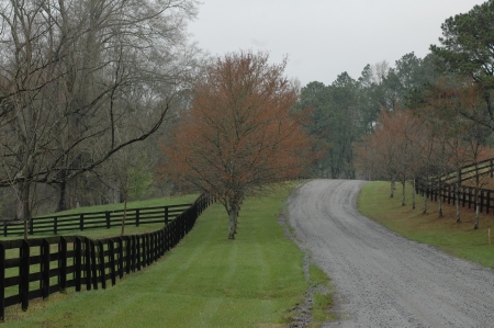 Back Road to Farm