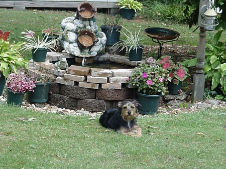 Our baby Sasha by the pond