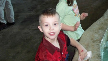 my son at aquarium