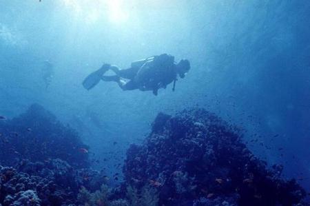 Diving in Egypt