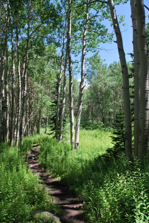 Hiking in Colorado last summer