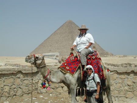 Camel riding in Giza