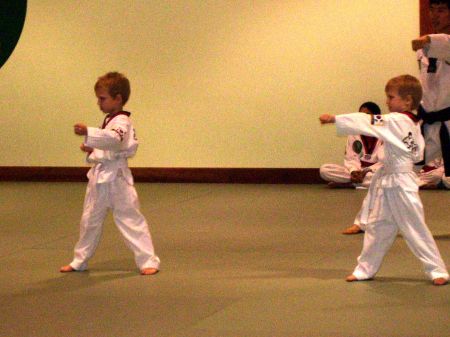 tae kwon do and ebay 004