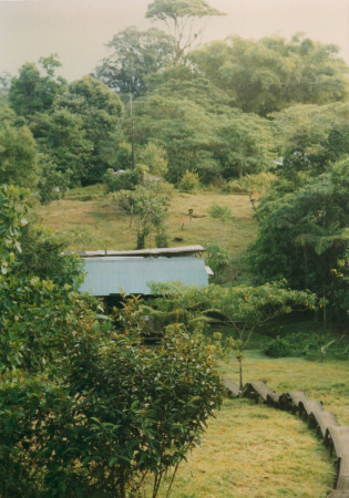 Rara Avis Hostel, Costa Rica