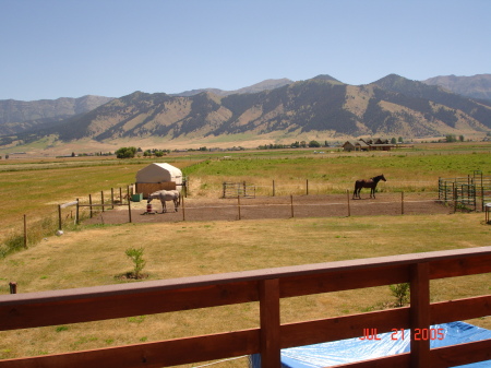 Backyard in Montana