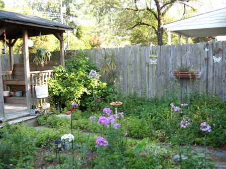 back yard