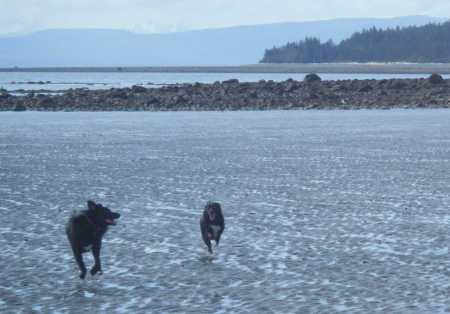 Oliver and Ursula coming for treats