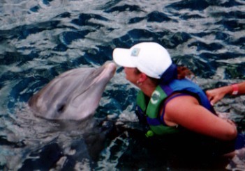 Mexico and the dolphins