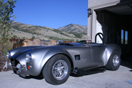 Shelby Cobra finished in 2010