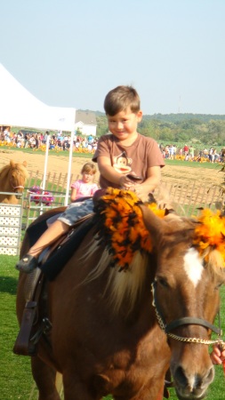 Tyler loves horses