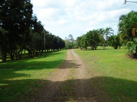 Entrance to Monte Escondido