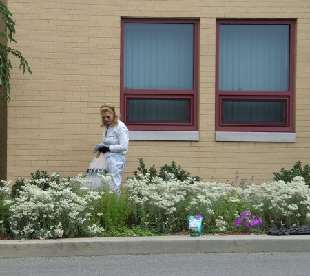 VOLUNTEER WORK AT THE SALVATION ARMY