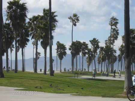 venice beach