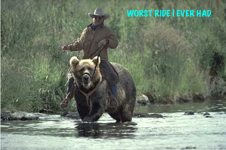 Worst riding bear I was ever on.