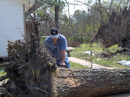 Moving more trees