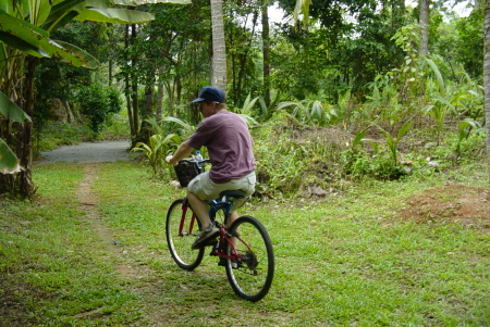 Riding a bike in the Jungle of Pula Ubin