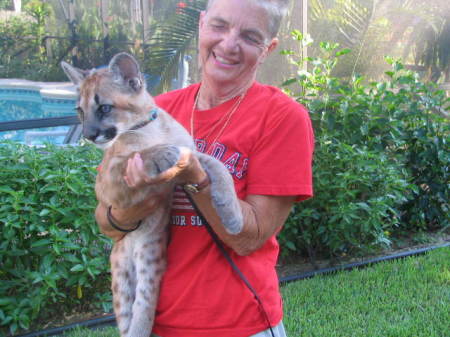 12 week old florida panther, Keera