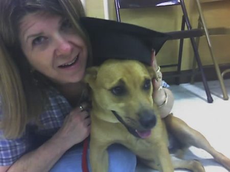 Star's graduation from puppy training class