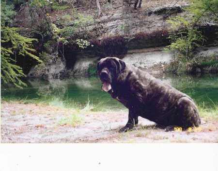 Mill Creek's Ghost Dancer