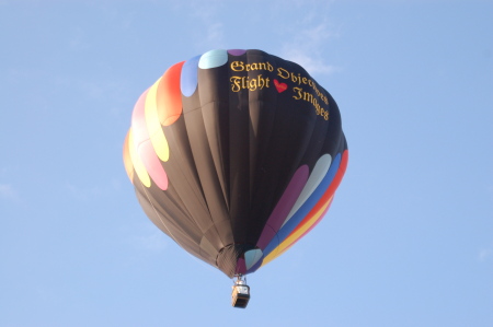 Balloon Ginger Cove - Nebraska