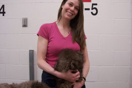 5-day old Bactrian camel