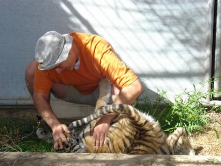 Me with one of the new Tiger Cubs (Sandy)