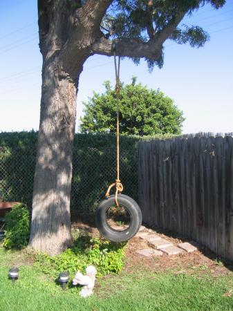 Back yard tree, with tire