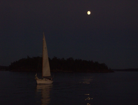 Sailboat in Friday Harbor