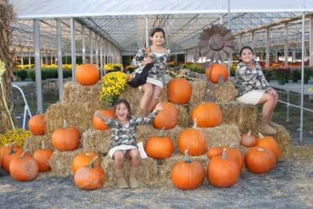 Pumpkin Patch ~ 2008